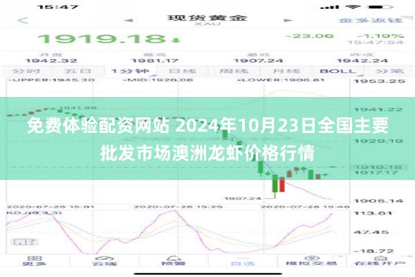 免费体验配资网站 2024年10月23日全国主要批发市场澳洲龙虾价格行情